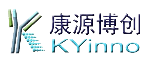 640 (2).png